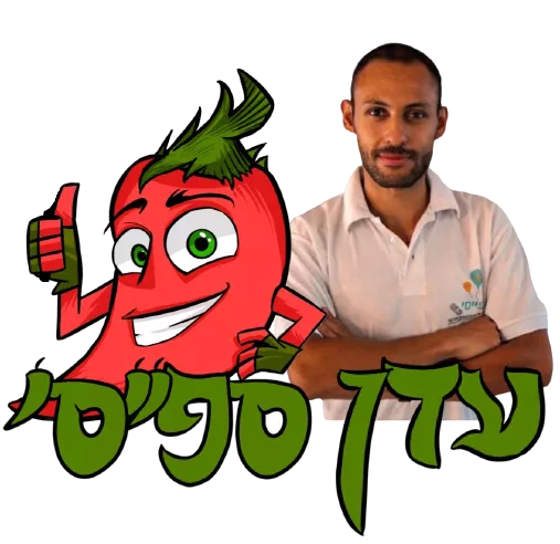 הרשמה לניוזלטר